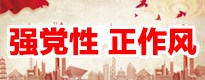 强党性 正作风
