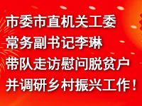 市委市直机关工委常务副书记李琳带队走访慰问脱贫户并调研乡村振兴工作！