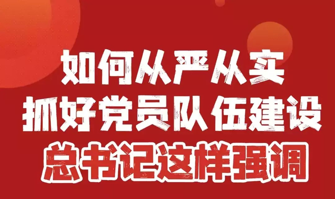 如何从严从实抓好党员队伍建设，总书记这样强调