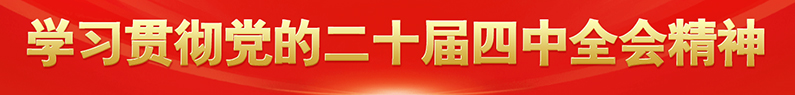 学习贯彻党的二十届四中全会精神